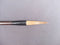 Chiyomi Tanaka's brush