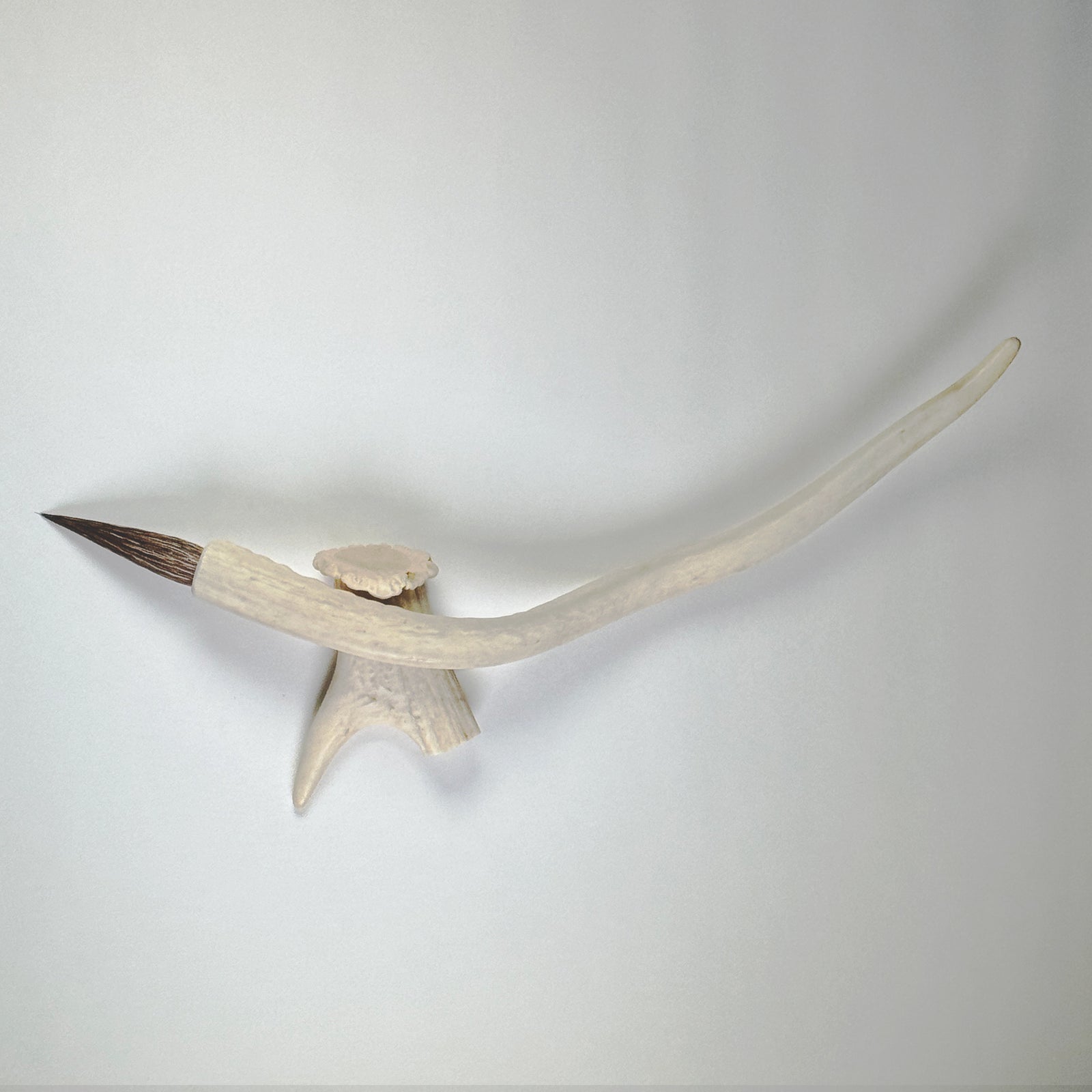 Shikatsuno ( Deer hair and antler ) シカツノ, Traditional Japanese brush by Chiyomi Tanaka