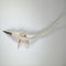 Shikatsuno ( Deer hair and antler ) シカツノ, Traditional Japanese brush by Chiyomi Tanaka