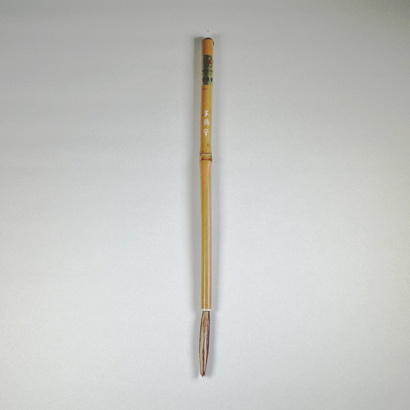 Shamo ( Gamecock ) 軍鶏 -