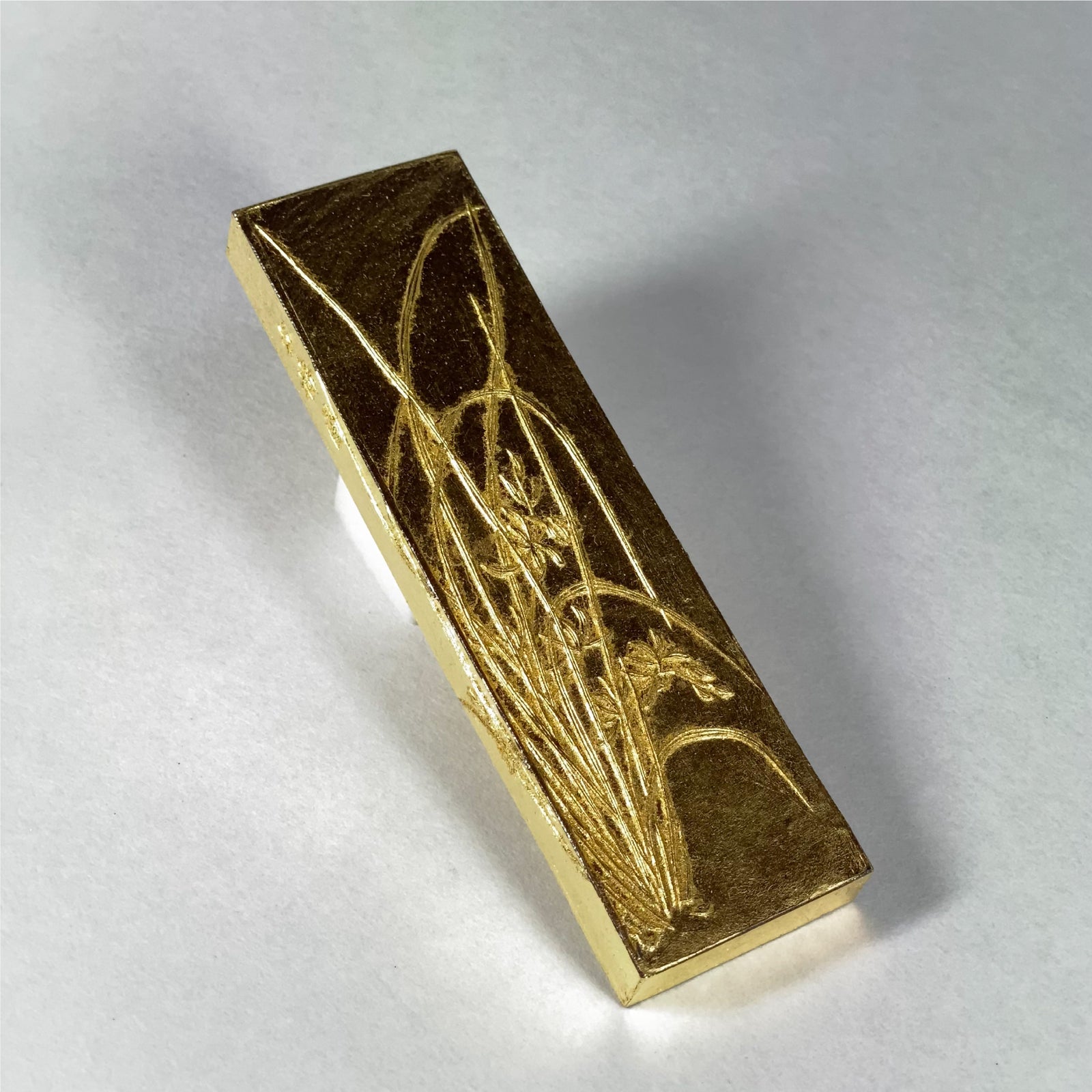 Kinrangiku ( 金蘭菊 )  - Kobaien inksticks, Nara, Japan