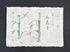 Raw White, 宇陀紙・生漉　Uda Gami Washi ( traditional Japanese paper )